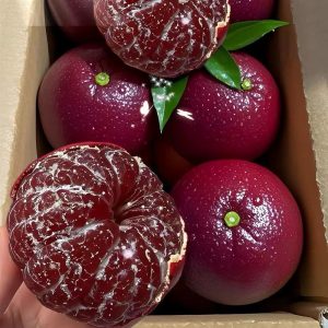 新品红皮血橙5斤