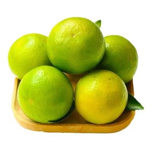 广西武鸣皇帝柑5斤