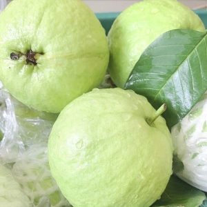 广西玉林番石榴5斤